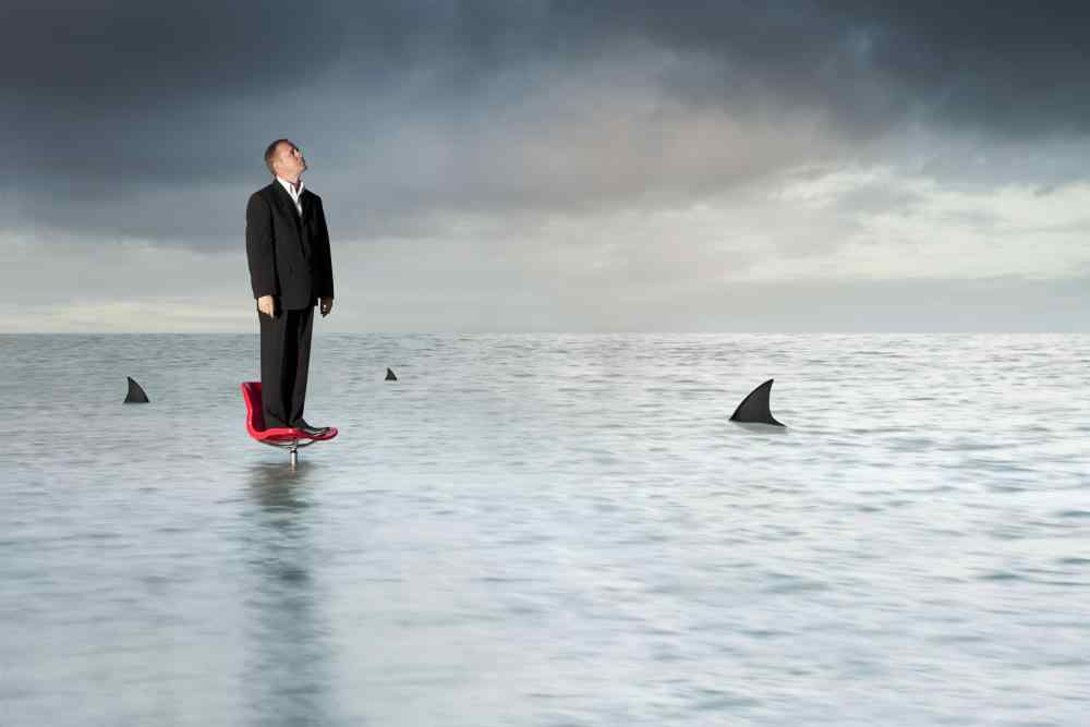 Crypto Whales Influence Price by a Single Statement