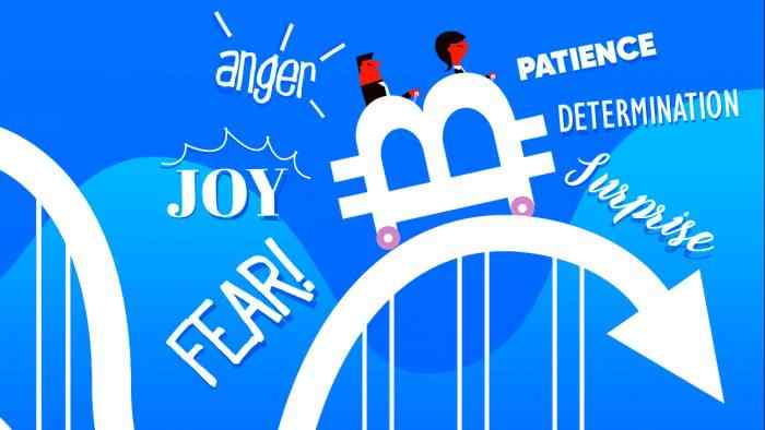 Emotion, Not Economics, Determines Cryptocurrency Prices, Suggests Study