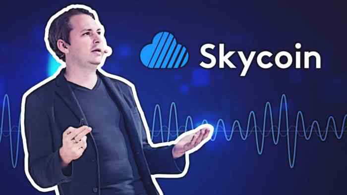 Uproar as Audio Recording Linking Skycoin CEO with Insider Trading Goes Viral