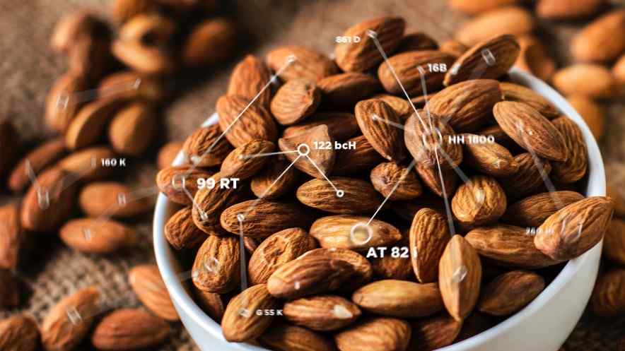 Commonwealth Bank of Australia Successfully Tracks 17,000 kg Shipment of Almonds