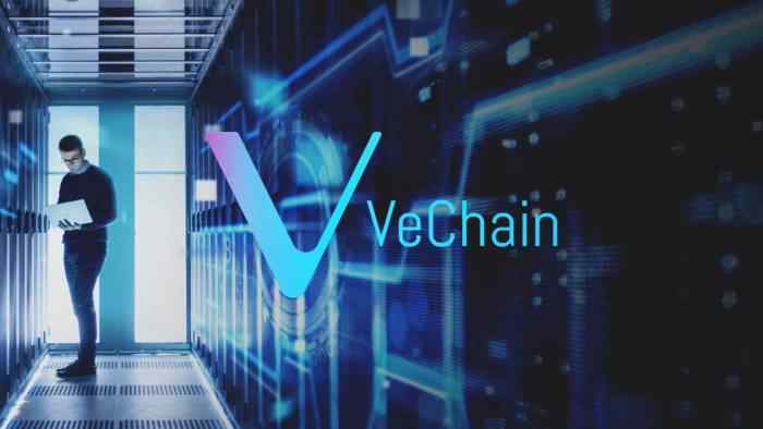 VeChain Foundation Spreads Its Wings with Mainnet (VeChainThor) Launch