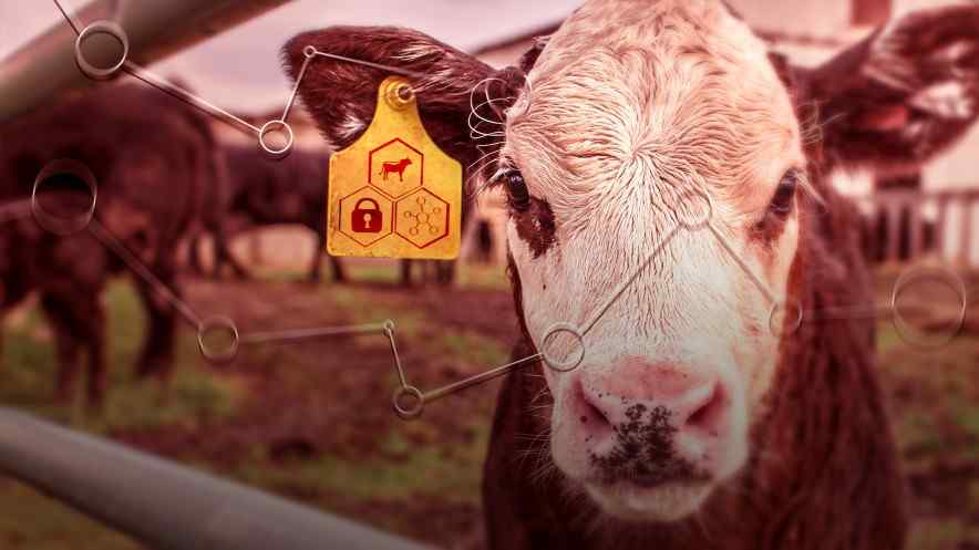 BeefChain Will Trace Cattle and Beef Shipments from the State of Wyoming