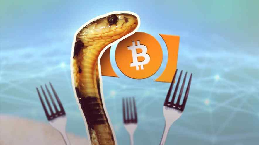 Bitcoin Cash to Potentially Hard Fork after Controversy in the Community