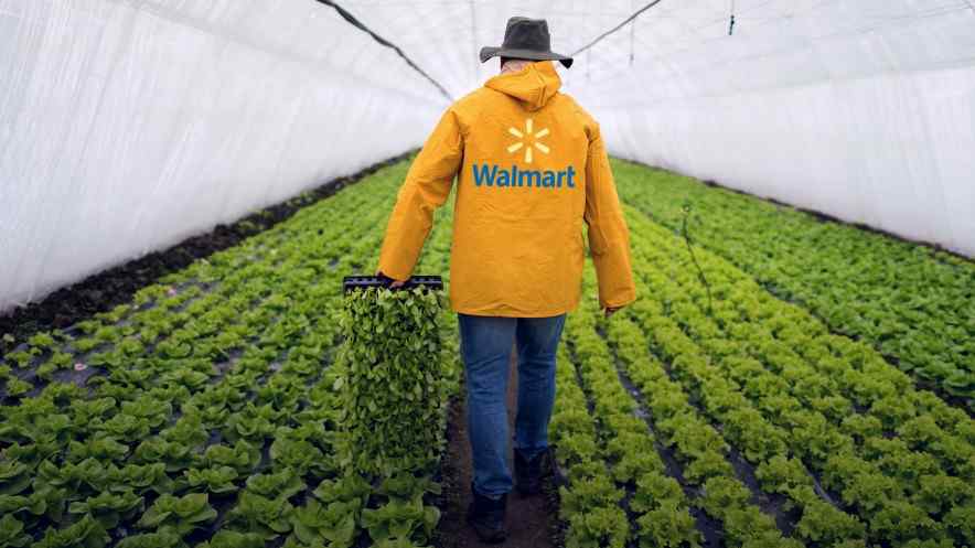 Walmart to Use Blockchain to Trace Lettuce from the Farm to Retail Shelves
