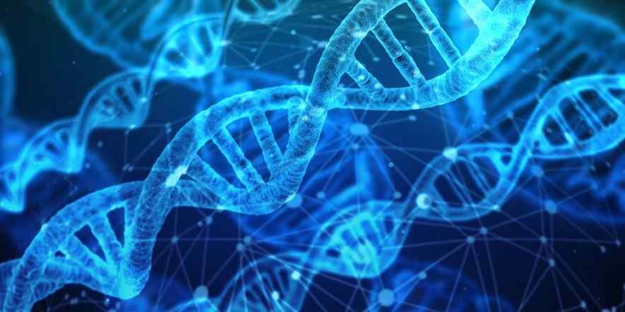 How Governments and Private Companies Plan to Use Blockchain to Track DNA