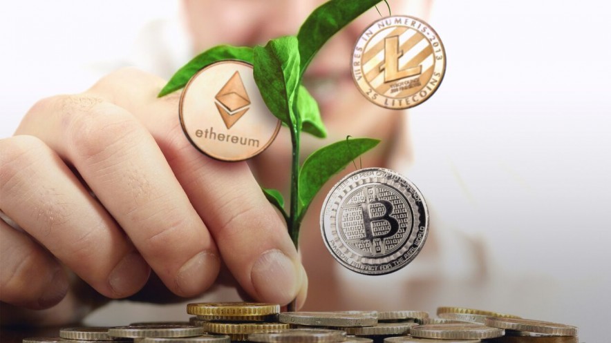 Can Crypto Grow On Trees? Blockchain In the Forestry Industry