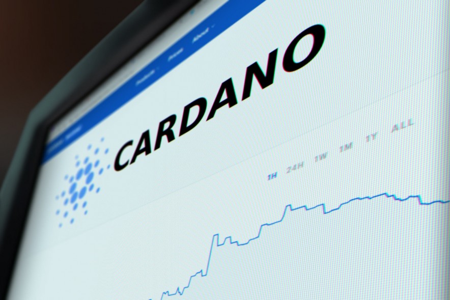 Cardano Price Dragged Lower but Large Investors Buy, IMX, BTC, ETH, Mar. 7