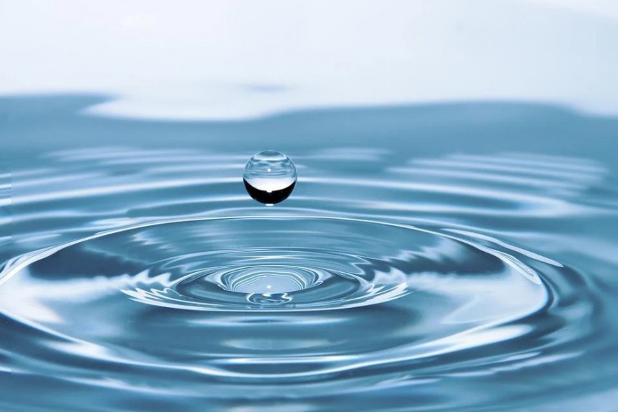 The Liquidity Crisis of 2022: Which Crypto Companies Are Most at Risk?