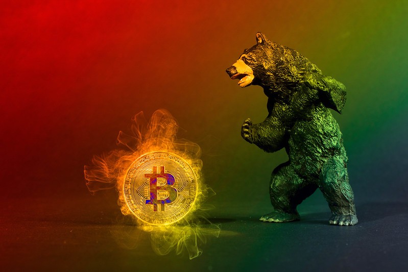 Solana Ignites Bonk Meme Frenzy as Crypto Cools, DOGE, BTC, WOO, Dec. 18
