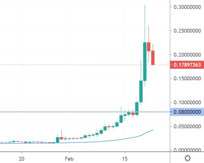 rvn coin