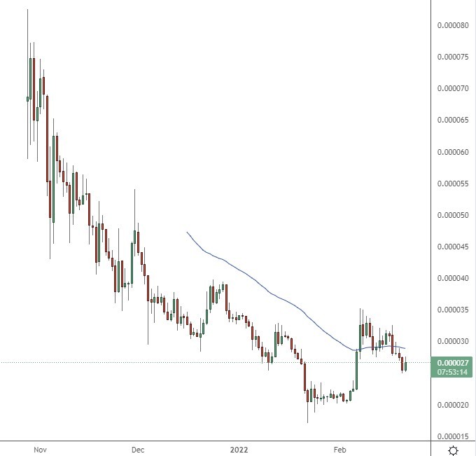 shib price